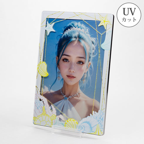 スキニースライド ポストカードフレーム シェルビーチ